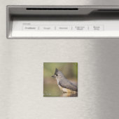 Titmaus, schwarz, Baeolophus Magnet (In Situ (Geschirrspüler))