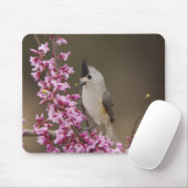 Titmaus, schwarz, Baeolophus Mousepad (Mit Mouse)