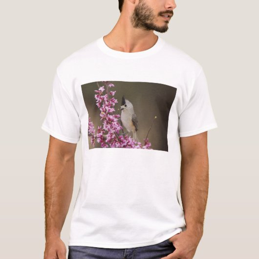 Titmaus, schwarz, Baeolophus T-Shirt (Vorderseite)