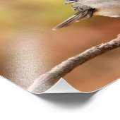 Titmausfall-Foto Fotodruck (Ecke)