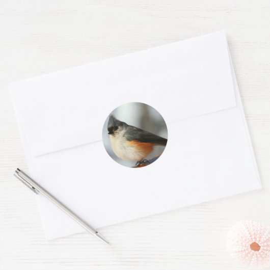 Titmauskleber Runder Aufkleber (Umschlag)