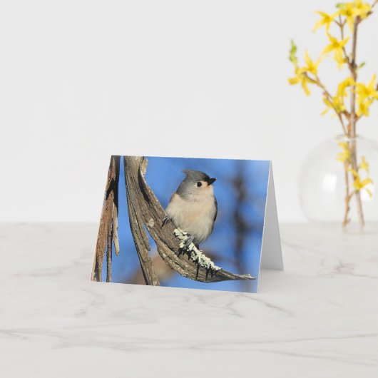 Titmauslehre Karte (Gelbe Blume)