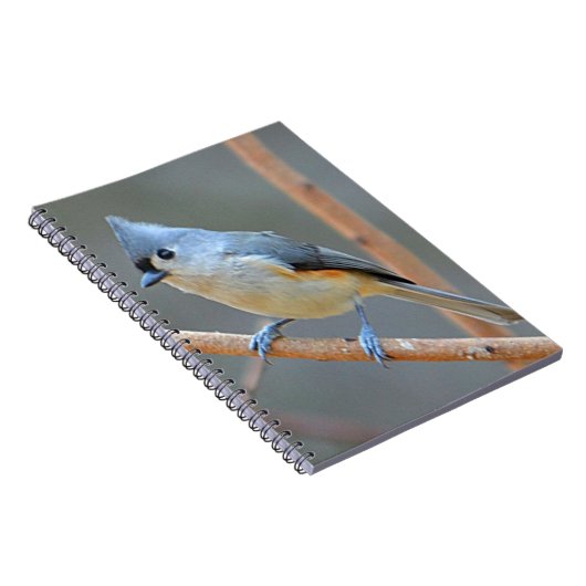 TitmausNotebook Notizblock (Rechte Seite)