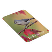 Titmice Magnet (Rechte Seite)