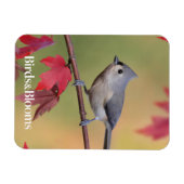 Titmice Magnet (Horizontal)