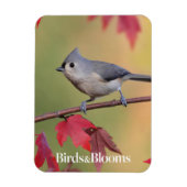 Titmice Magnet (Vertikal)