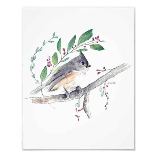 Titmouse Bird Art Foto Print (Vorne)