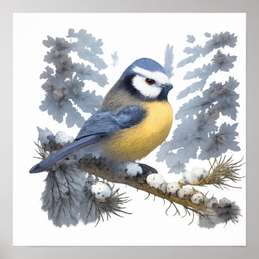 Titmouse bird poster (Vorne)