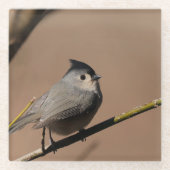 Titmouse_Coaster Glasuntersetzer (Vorderseite)