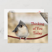 Titmouse Postcard leer - passen Sie jede Gelegenhe Postkarte (Vorne/Hinten)