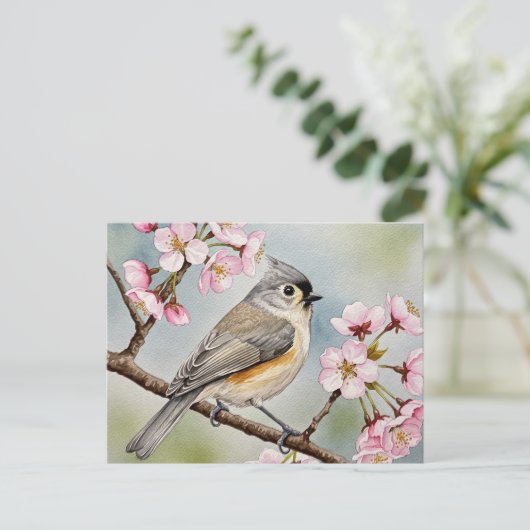 Titmouse, Sakura, Frühlingspostkarte Postkarte (Stehend Vorderseite)
