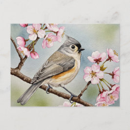 Titmouse, Sakura, Frühlingspostkarte Postkarte