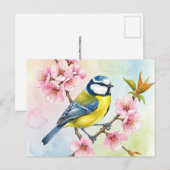 Titmouse, Sakura, Frühlingspostkarte Postkarte (Vorne/Hinten)