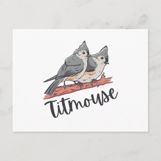 Titmouse Tufted Titmice Niedlich Bird Gift Postkarte (Vorderseite)