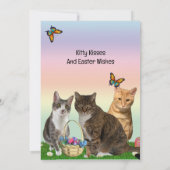 Tito, Taz, Annie Cat Oaster Grußkarte (Rückseite)