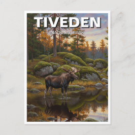 Tiveden Nationalpark Schweden Reisen Postkarte