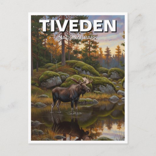 Tiveden Nationalpark Schweden Reisen Postkarte (Vorderseite)