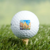 Tiverton Golfball (Insitu T-Shirt)