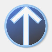 Tiwaz Teiwaz Tyr Warrior Rune Magnet (Vorne)