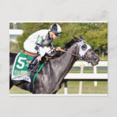 Tiz Well Postkarte (Vorderseite)