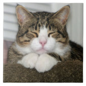 TJ FLIESE (Vorderseite)