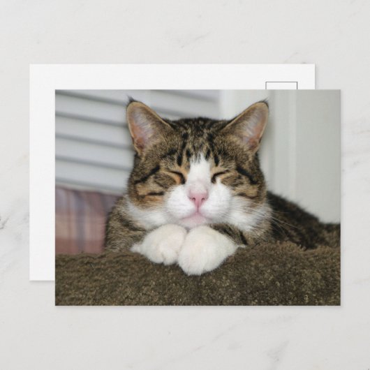 TJ POSTKARTE (Vorne/Hinten)