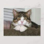 TJ POSTKARTE (Vorderseite)