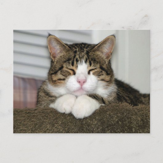 TJ POSTKARTE (Vorderseite)