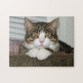 TJ PUZZLE (Horizontal)