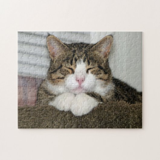 TJ PUZZLE (Horizontal)