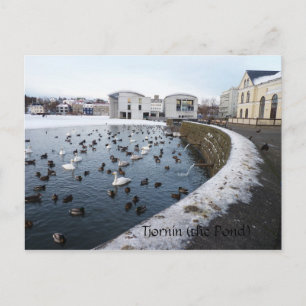 Tjornin (der Teich) ~ Reykjavik, Island Postkarte