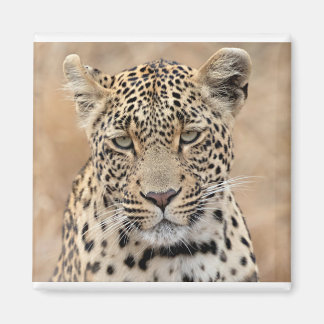 Tlalamaba Prinzessin von Djume Magnet