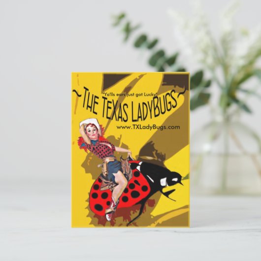 TLB Postkarten mit Cowgirl auf Bucking Bucking Bug (Stehend Vorderseite)