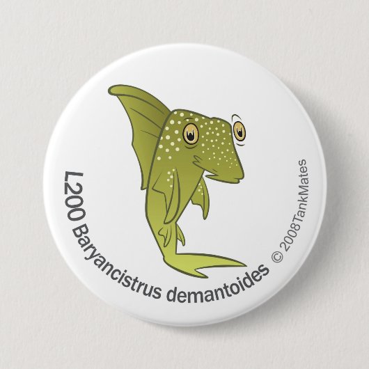 TM-04-L200 Baryancistrus demantoides Button (Vorderseite)