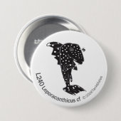 TM-05-L240 Leporacanthicus CF Button (Vorne & Hinten)