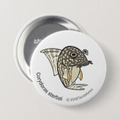 TM-08-Corydoras sterbai Button (Vorne & Hinten)