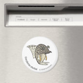TM-08-Corydoras sterbai Magnet (In Situ (Geschirrspüler))