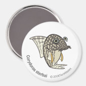 TM-08-Corydoras sterbai Magnet (Vorderseite/Rückseite)