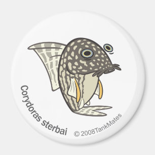 TM-08-Corydoras sterbai Magnet