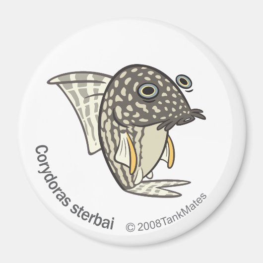 TM-08-Corydoras sterbai Magnet (Vorne)