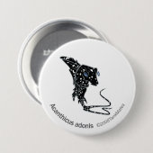 TM-09-Acanthicus Adonis Button (Vorne & Hinten)