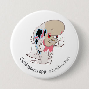 TM-10-Cichlasoma spp Button