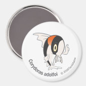 TM-11Corydoras adolfoi Magnet (Vorderseite/Rückseite)