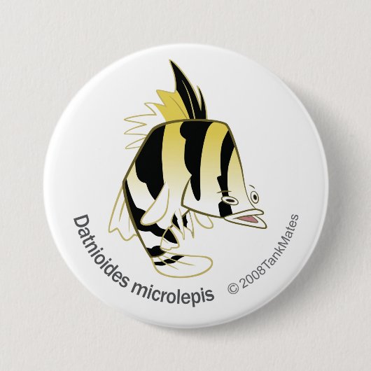 TM-12-Dathioides microlepis Button (Vorderseite)