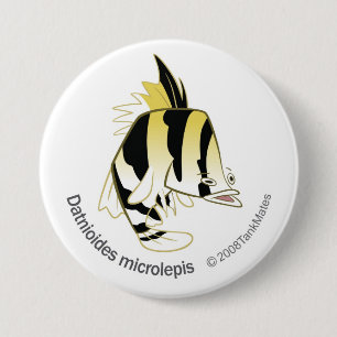 TM-12-Dathioides microlepis Button