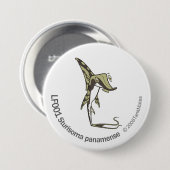 TM-14-LF001 Sturisoma panamense Button (Vorne & Hinten)