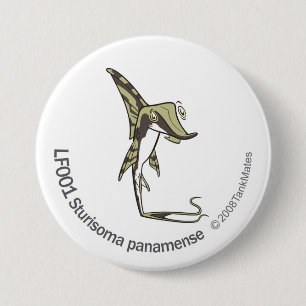 TM-14-LF001 Sturisoma panamense Button