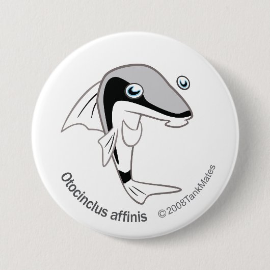TM-15-Otacinclus affinis Button (Vorderseite)