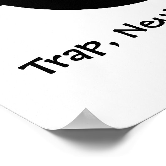 TNR - Fuzzy Kitty Poster (Ecke)