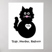 TNR - Fuzzy Kitty Poster (Vorne)